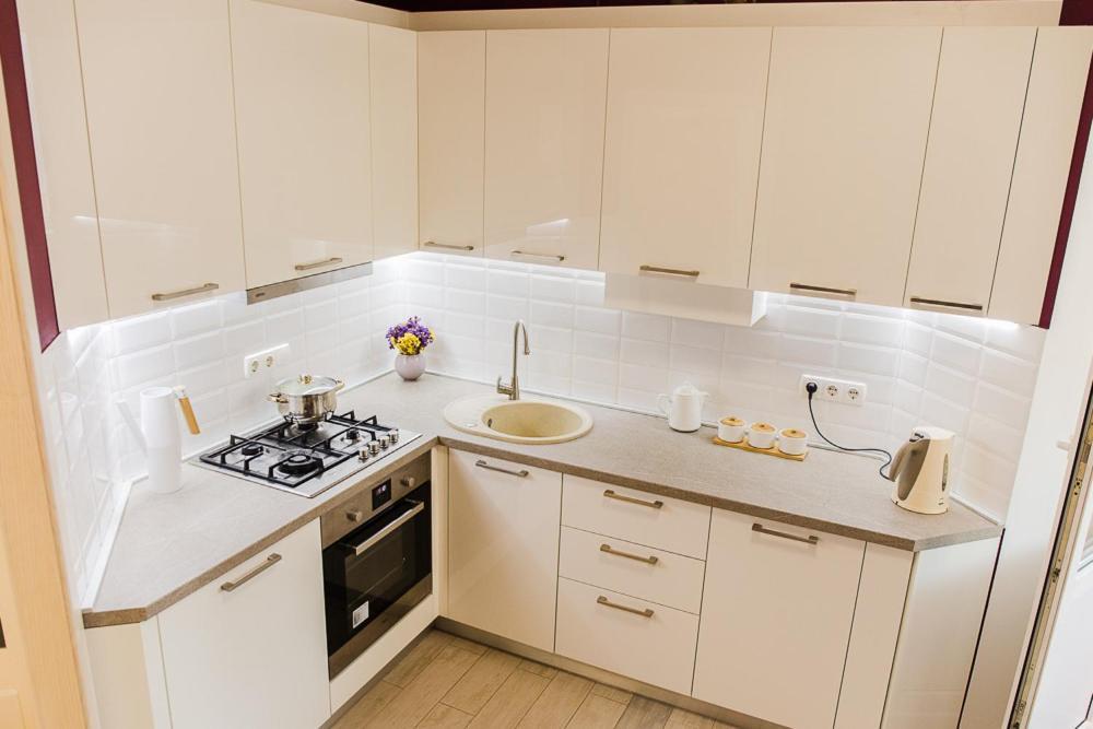Skandi apartment near the Park Irpin Bagian luar foto